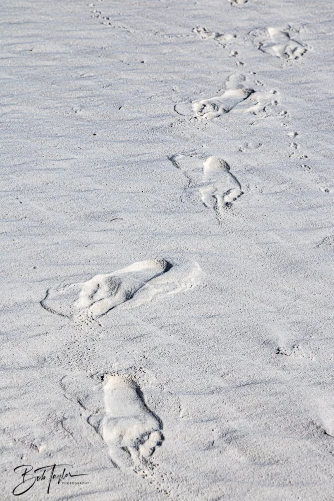 20241113-20241113-White Sands -22-2.jpg