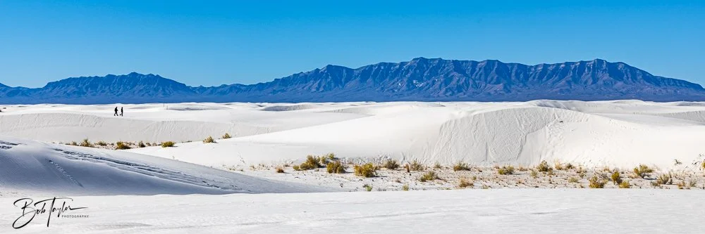 20241113-20241113-White Sands -13-2.jpg