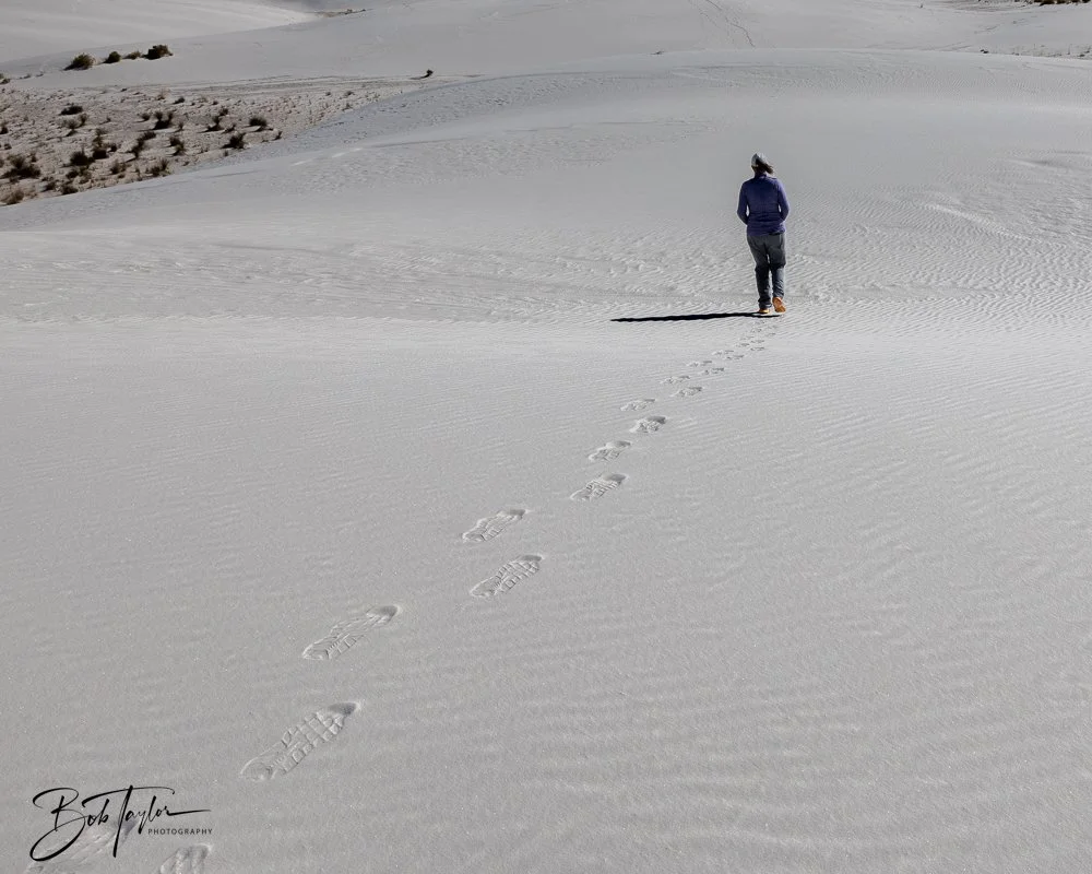 20241113-20241113-White Sands -21-2.jpg