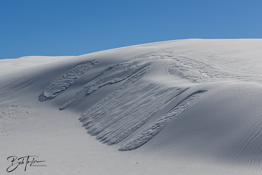 20241113-20241113-White Sands -16-2.jpg