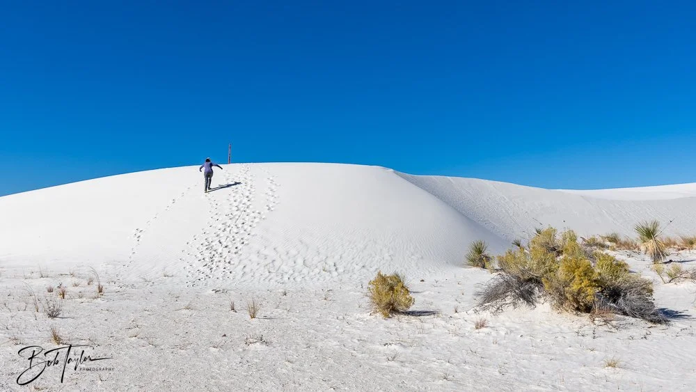 20241113-20241113-White Sands -17-2.jpg