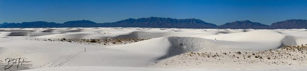 20241113-20241113-White Sands -6-2.jpg