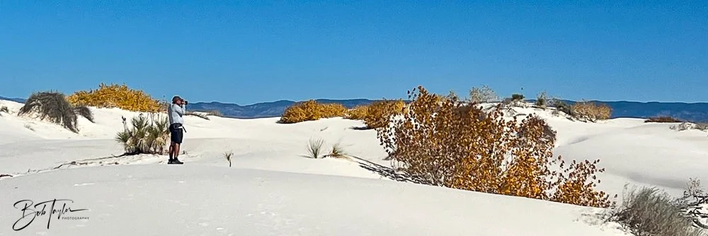 20241113-20241113-White Sands -10-2.jpg