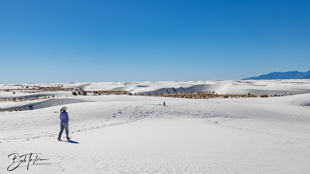20241113-20241113-White Sands -14-2.jpg