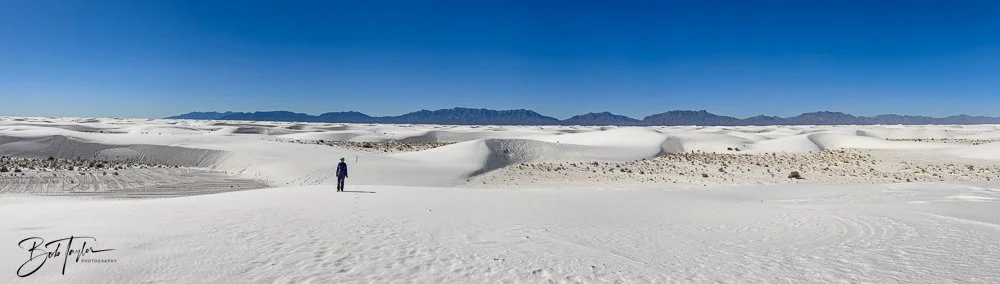 20241113-20241113-White Sands -5-2.jpg