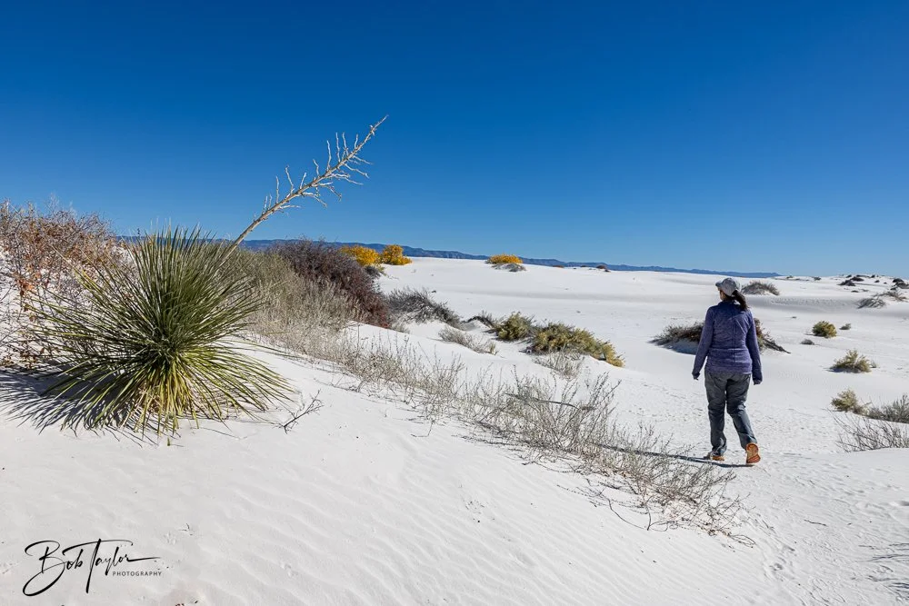 20241113-20241113-White Sands -36-2.jpg