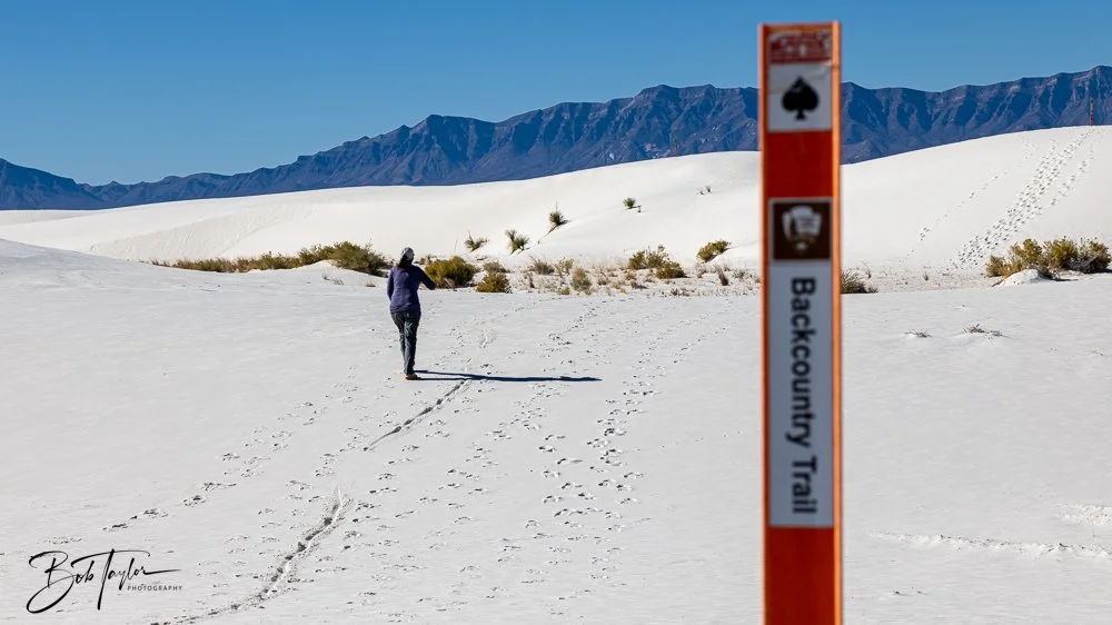 20241113-20241113-White Sands -15-2.jpg