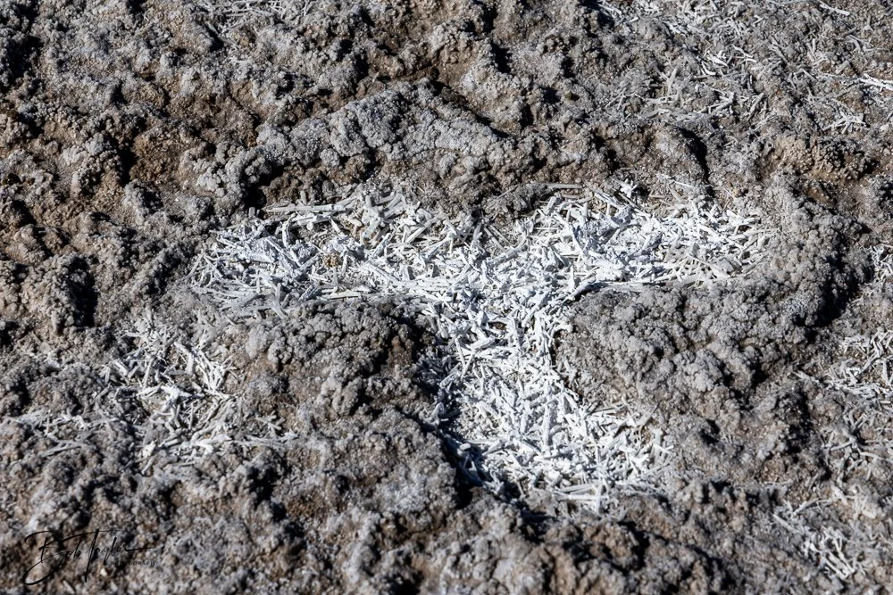 20241113-20241113-White Sands -44-2.jpg