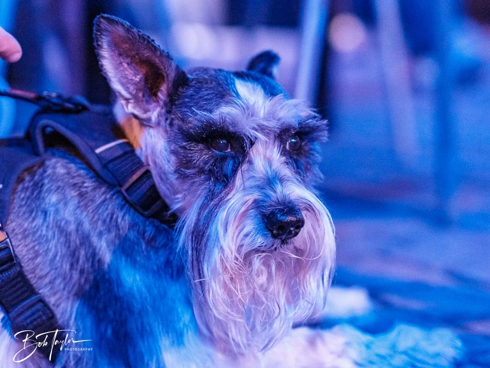 20251014-Scratch 2020 -42.jpg