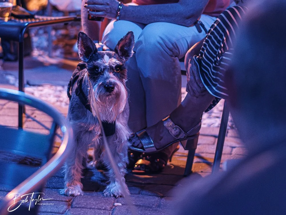 20251014-Scratch 2020 -5.jpg