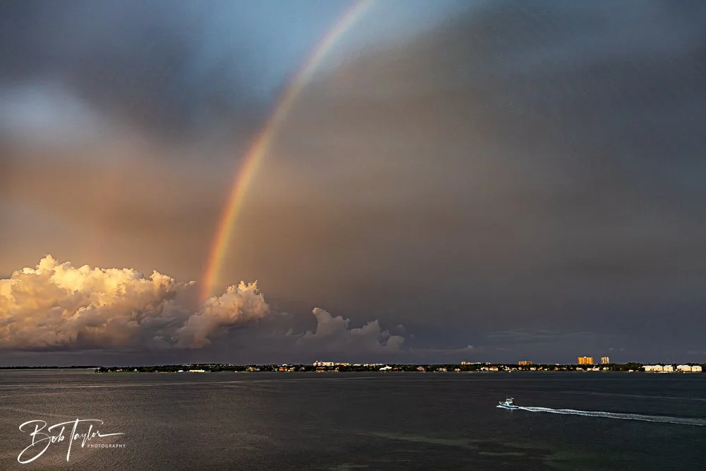 20240724-20240724-Rainbow -14-2.jpg