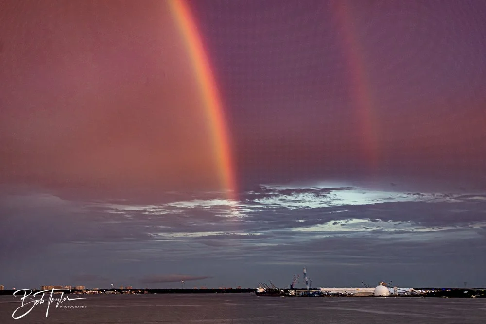 20240724-20240724-Rainbow -8-2.jpg