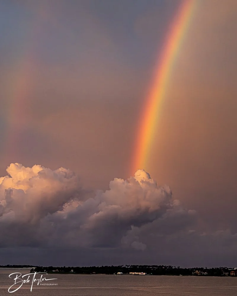 20240724-20240724-Rainbow -10-2.jpg