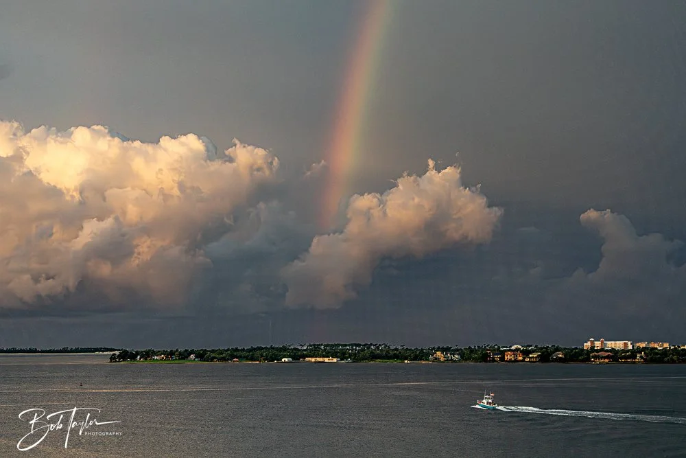 20240724-20240724-Rainbow -15-2.jpg