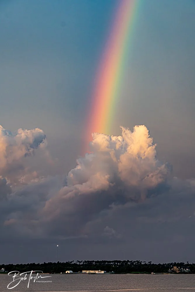 20240724-20240724-Rainbow -12-2.jpg