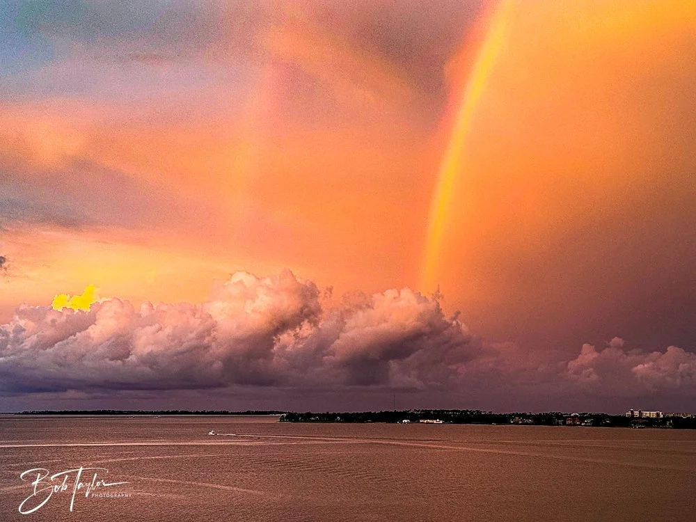 20240724-20240724-Rainbow -4-2.jpg