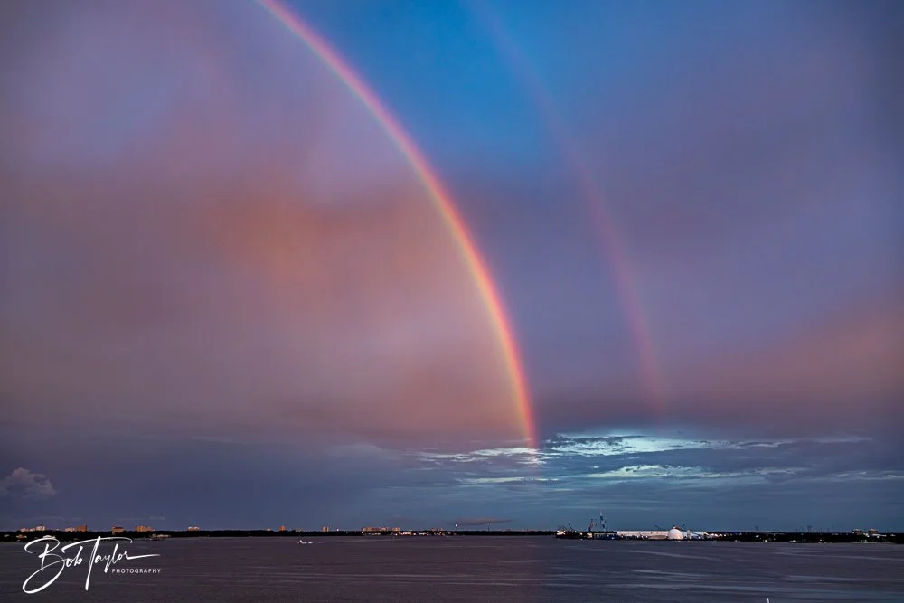 20240724-20240724-Rainbow -7-2.jpg