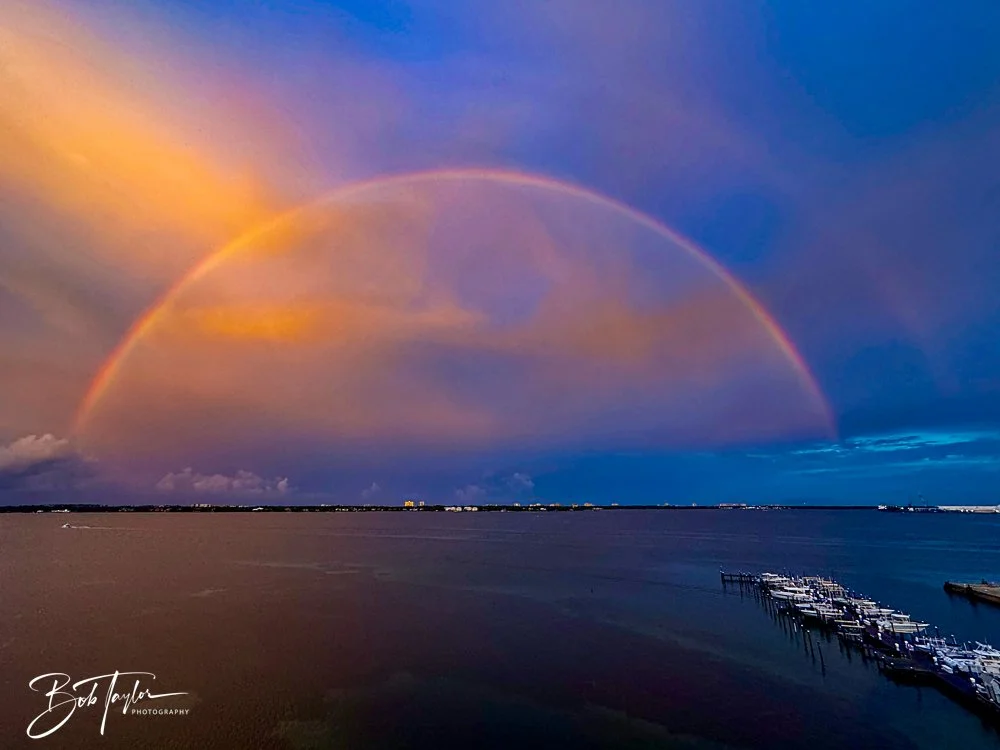 20240724-20240724-Rainbow -3-2.jpg