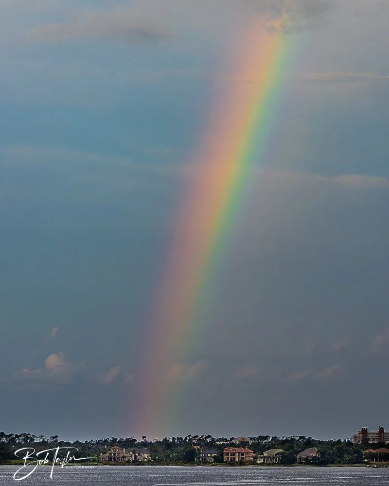 20240730-20240730-Changing Skies -9-2.jpg