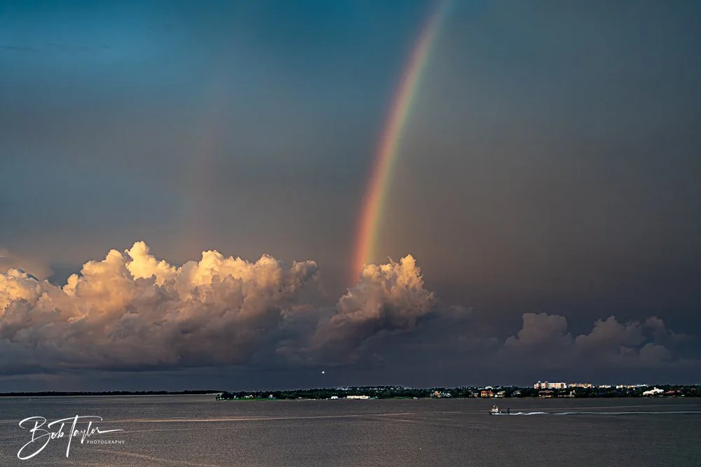 20240724-20240724-Rainbow -13-2.jpg