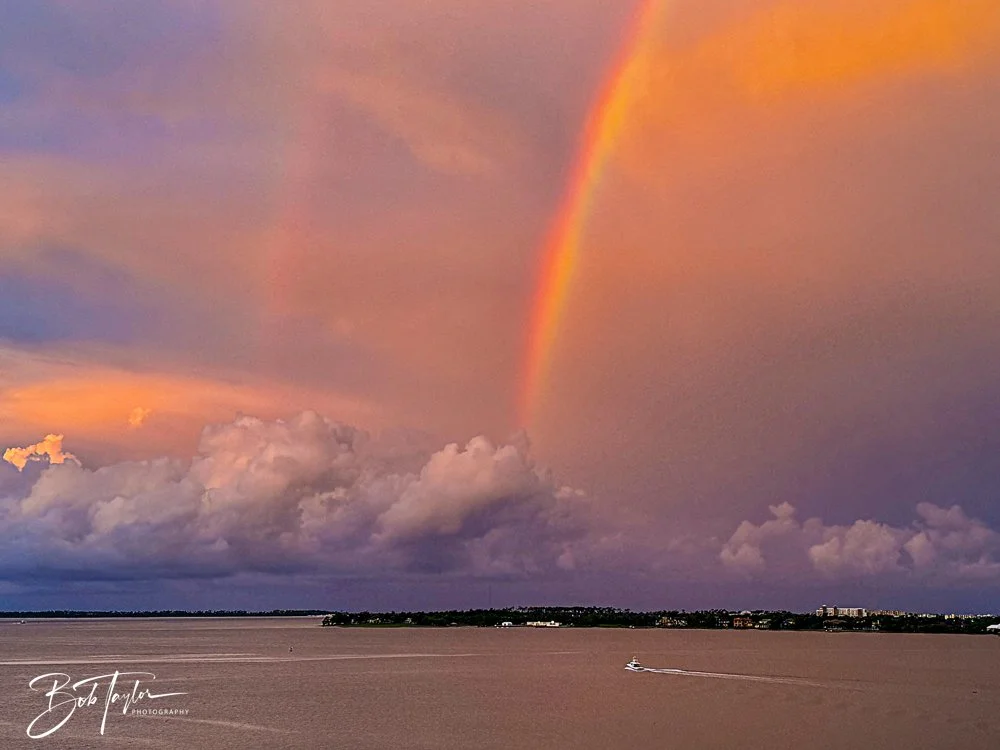 20240724-20240724-Rainbow -2-2.jpg