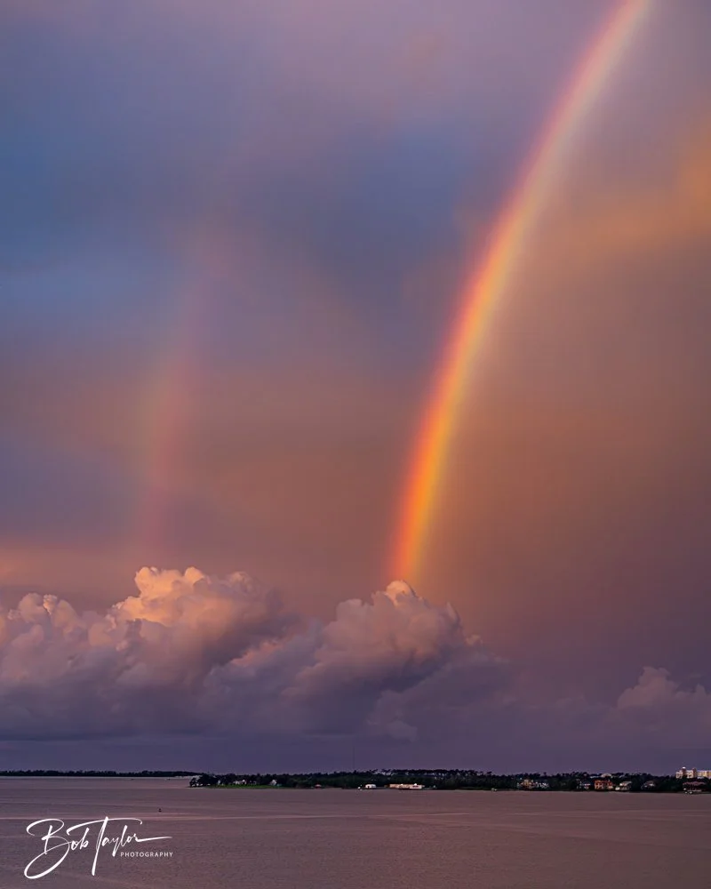 20240724-20240724-Rainbow -6-2.jpg