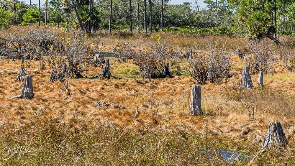 20251116-SASP One Day -57.jpg