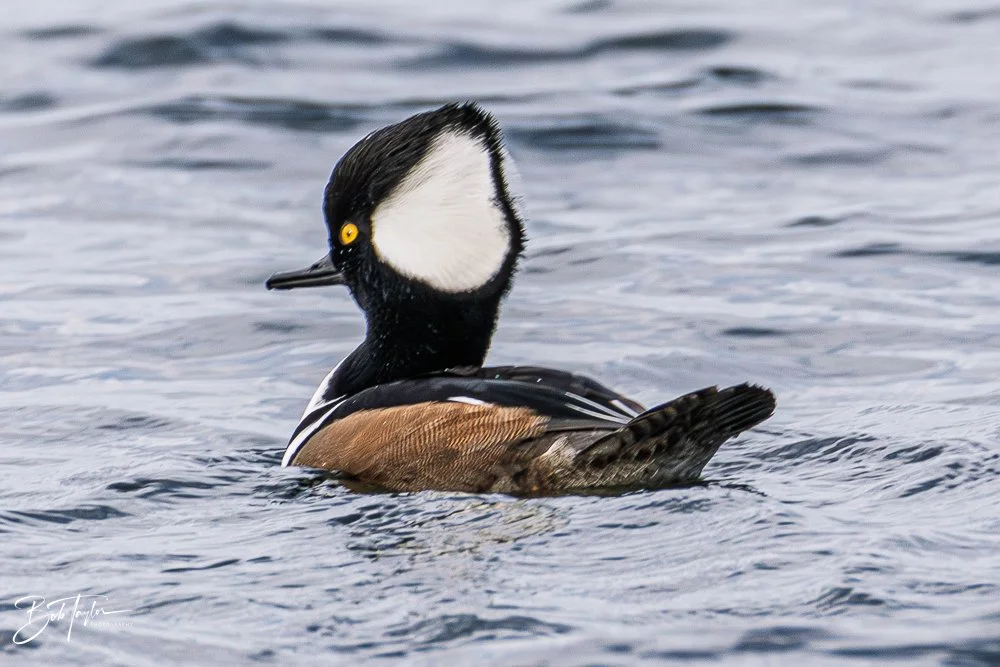 20251116-SASP One Day -62.jpg