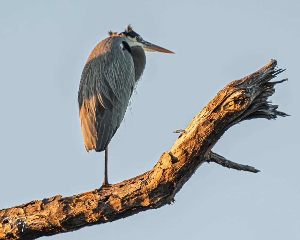 20251120-SASP Final -90.jpg