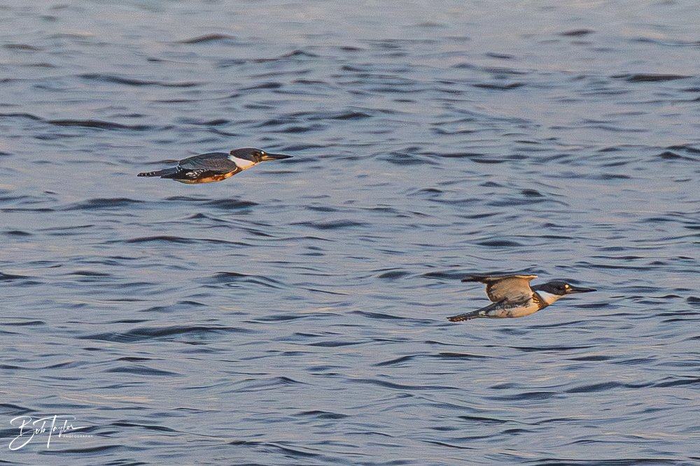 20251117-SASP Final -36.jpg