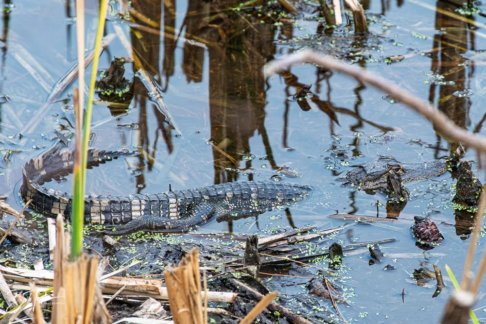 20251116-SASP One Day -71.jpg