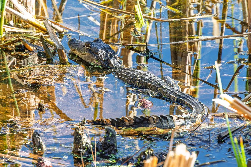 20251116-SASP One Day -40.jpg