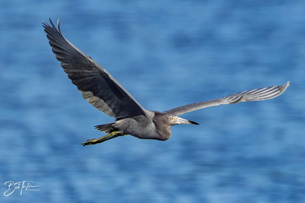 20251115-SASP Final -6.jpg