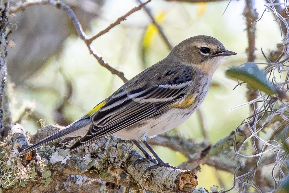 20251116-SASP One Day -49.jpg