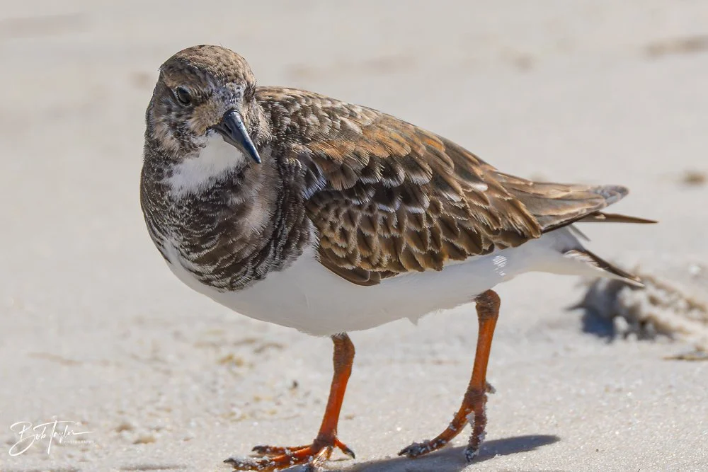 20251116-SASP One Day -28.jpg