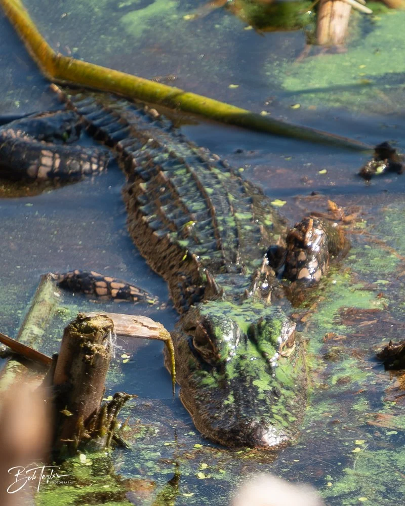 20251119-SASP Final -60.jpg