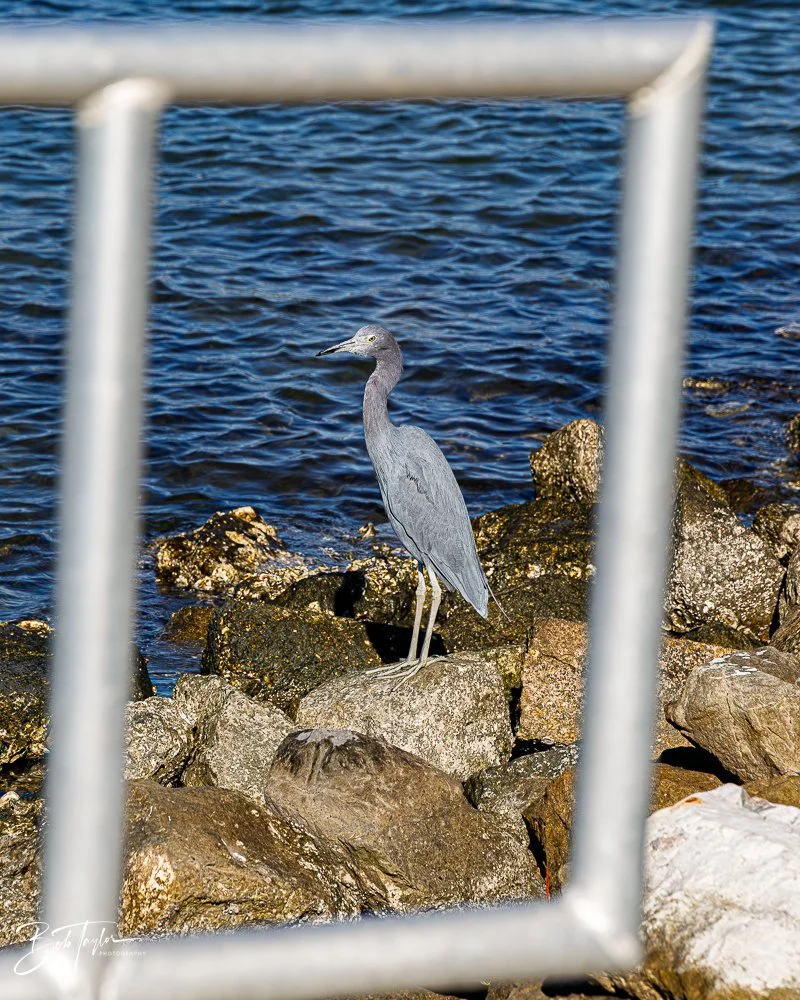 20251116-SASP One Day -7.jpg