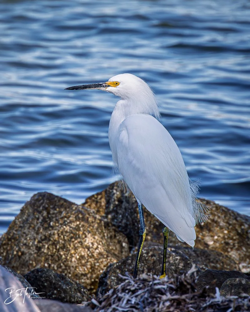 20251116-SASP One Day -6.jpg