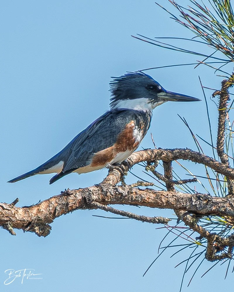 20251119-SASP Final -78.jpg