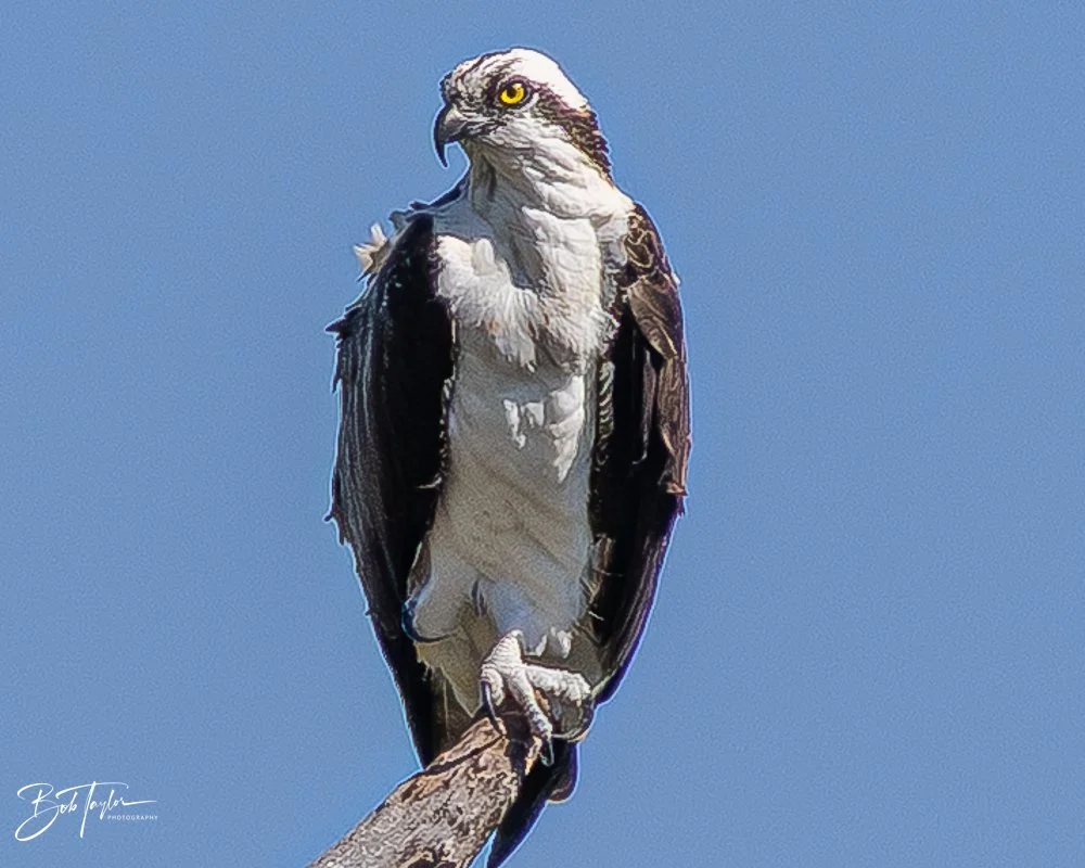 20251116-SASP One Day -59.jpg