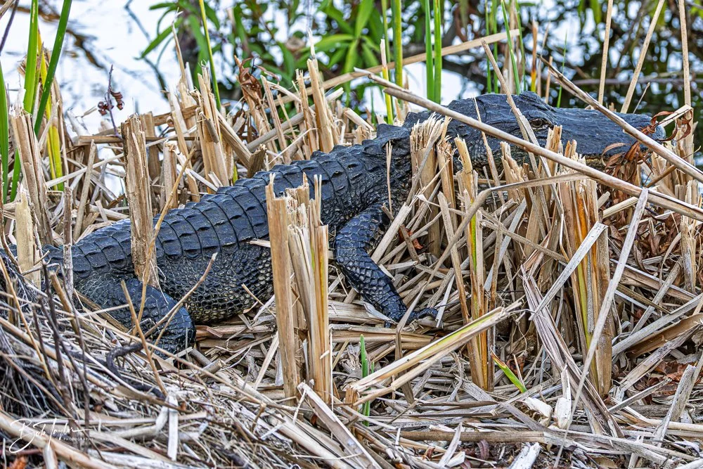 20251115-SASP Final -8.jpg