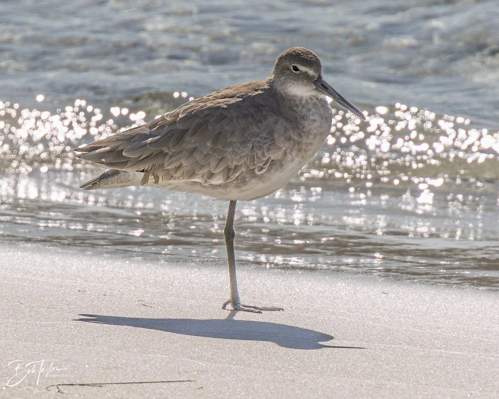 20251116-SASP One Day -23.jpg