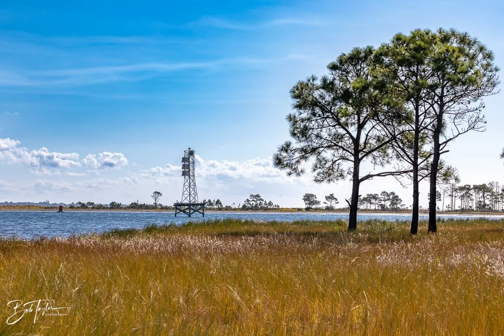 20251116-SASP One Day -9.jpg