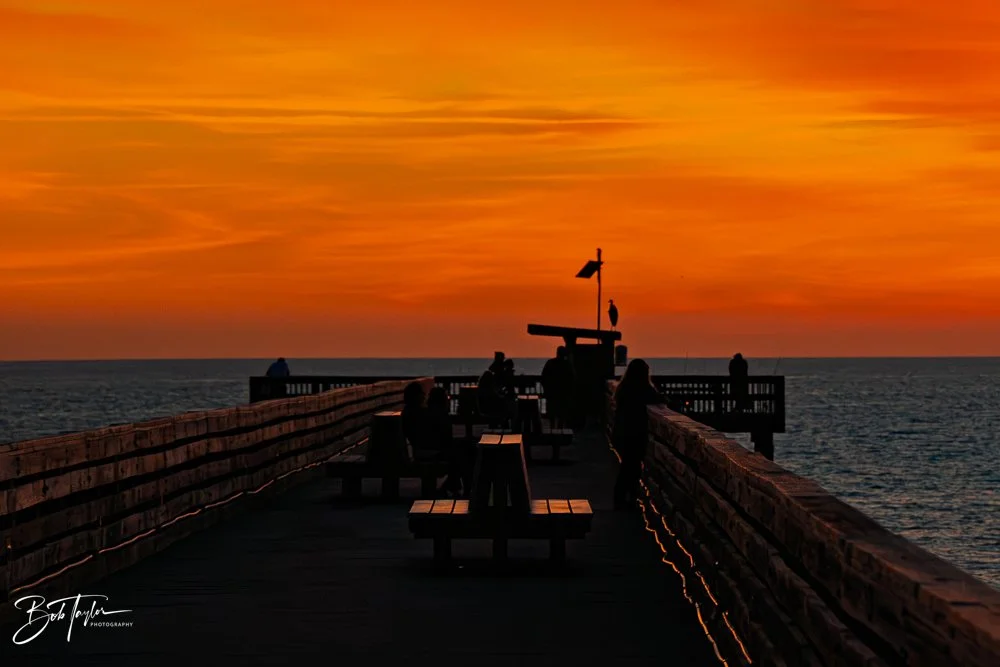 20251119-SASP Sunset -34.jpg