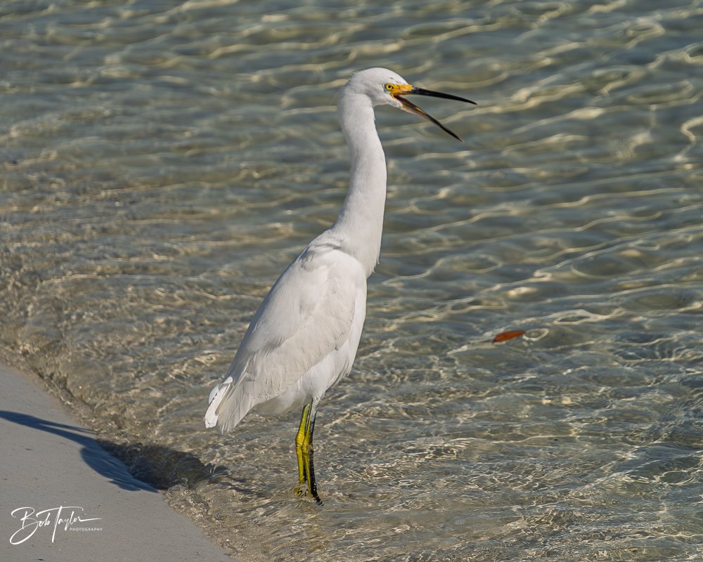 20251119-SASP Final -71.jpg