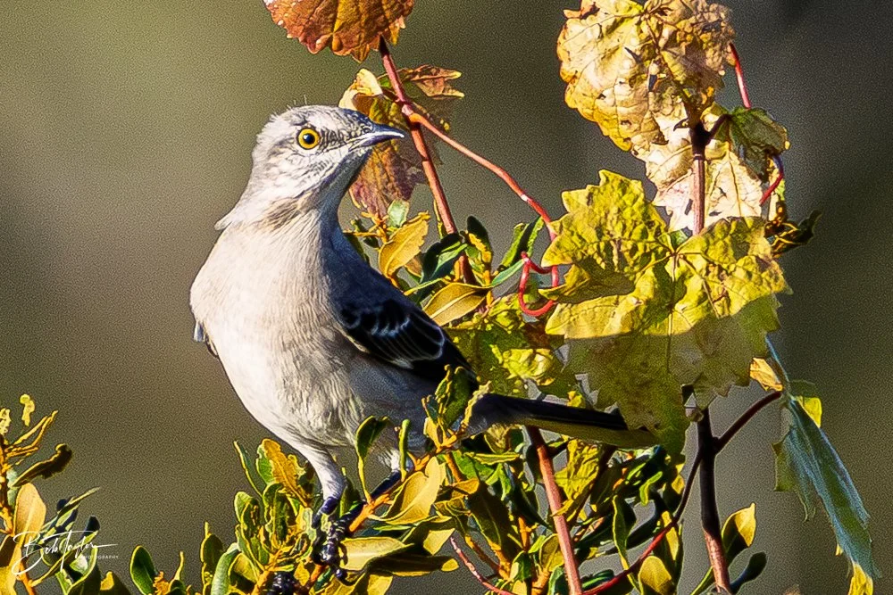 20251115-SASP Final -21.jpg