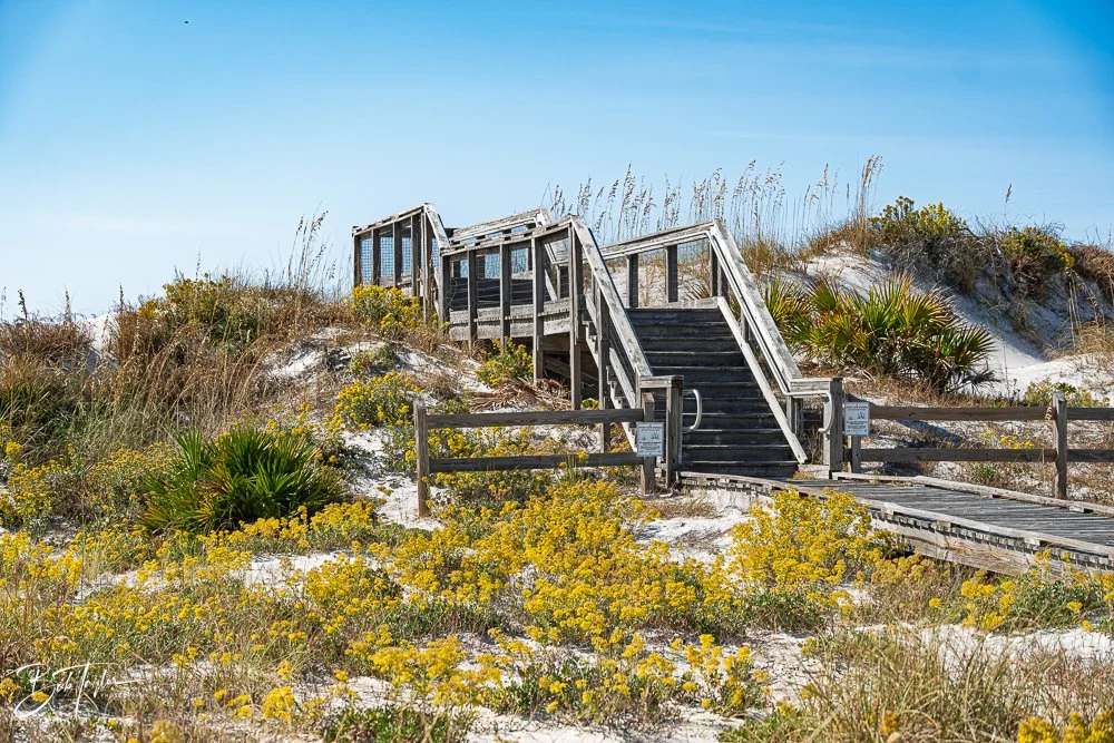 20251119-SASP Final -67.jpg