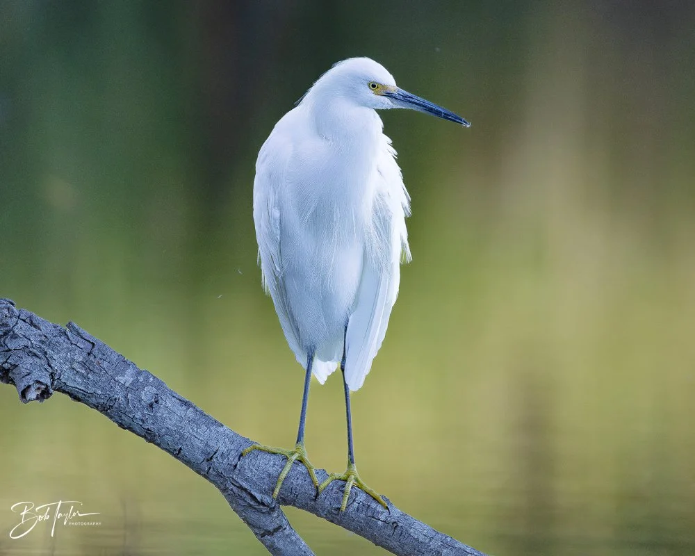 20251115-SASP Final -11.jpg