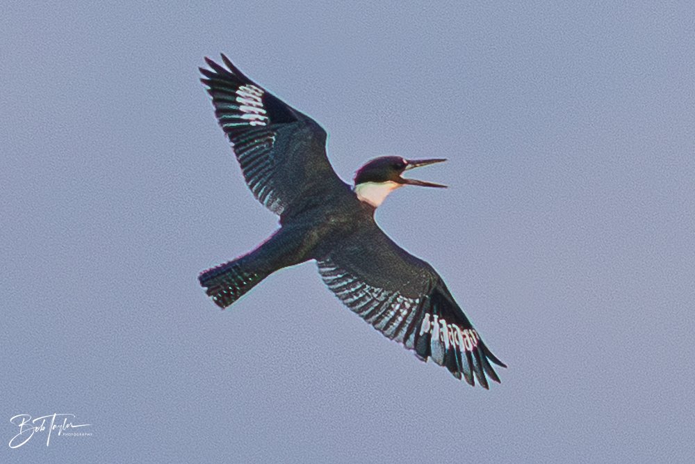 20251117-SASP Final -38.jpg