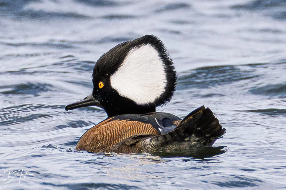 20251116-SASP One Day -64.jpg